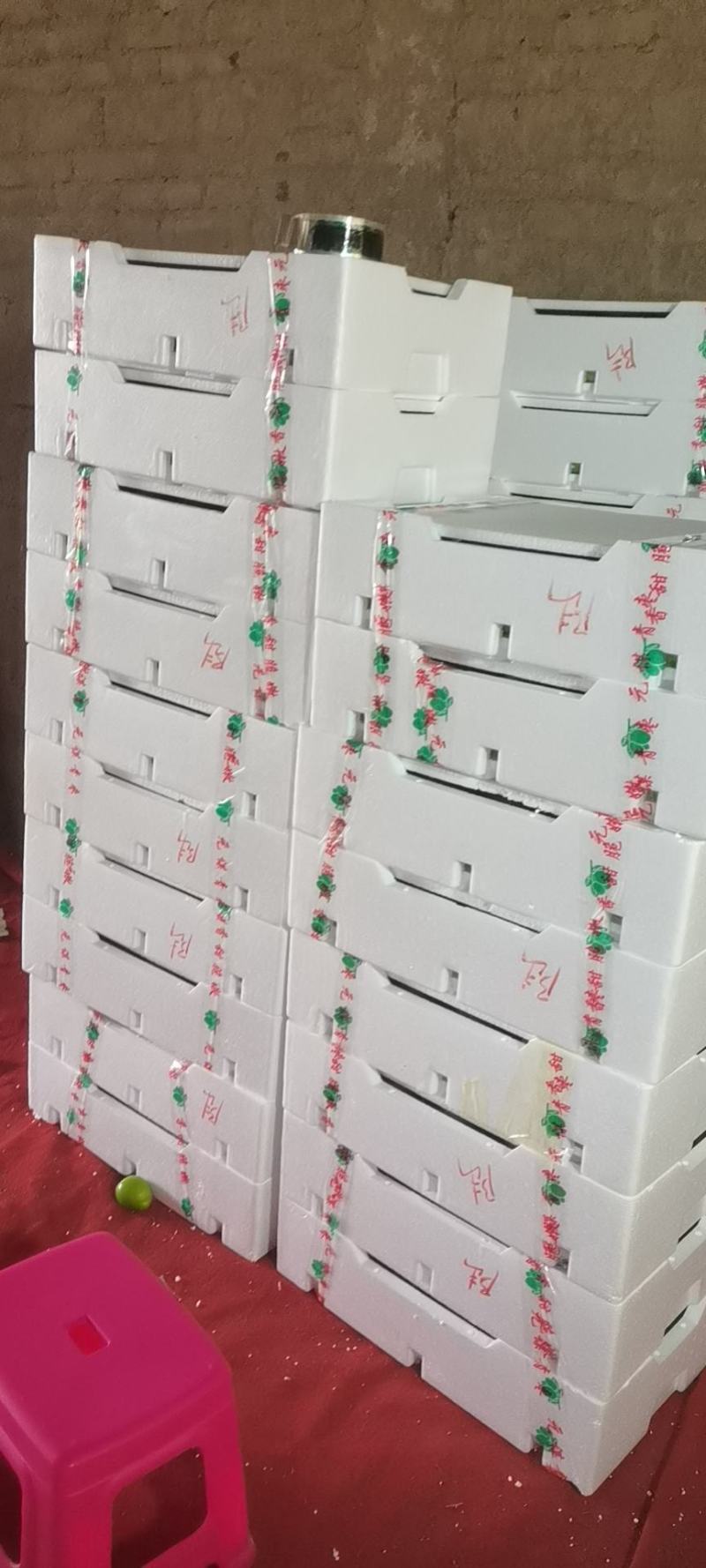 云南元谋青枣，十合一，王中王，高原密枣，露天，现采现发