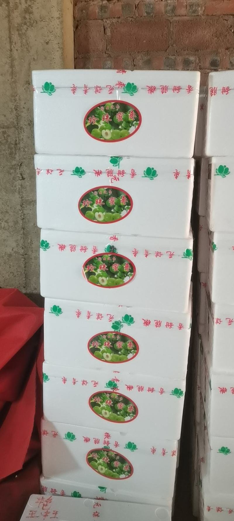 云南元谋青枣，露天高原密枣，大中小，台朗密枣，口感佳
