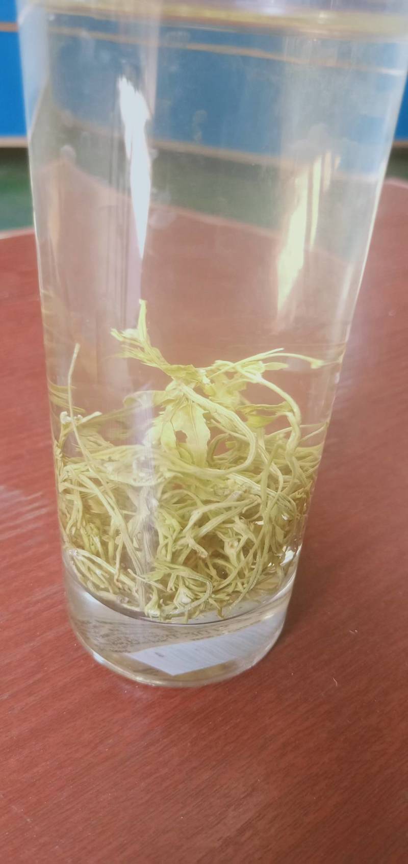 大力发展藤茶产业，助力乡村振兴