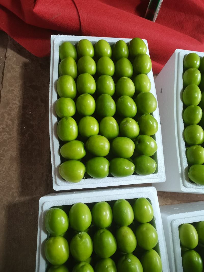 云南青枣，台郎密枣，十三斤，小十斤包装