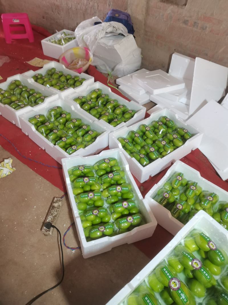 云南青枣，台郎密枣，十三斤，小十斤包装