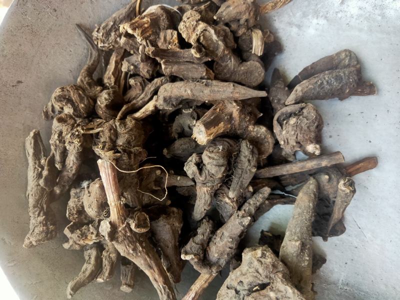 四川乌药货好量大要多了有优惠欢迎咨询下单平台交易