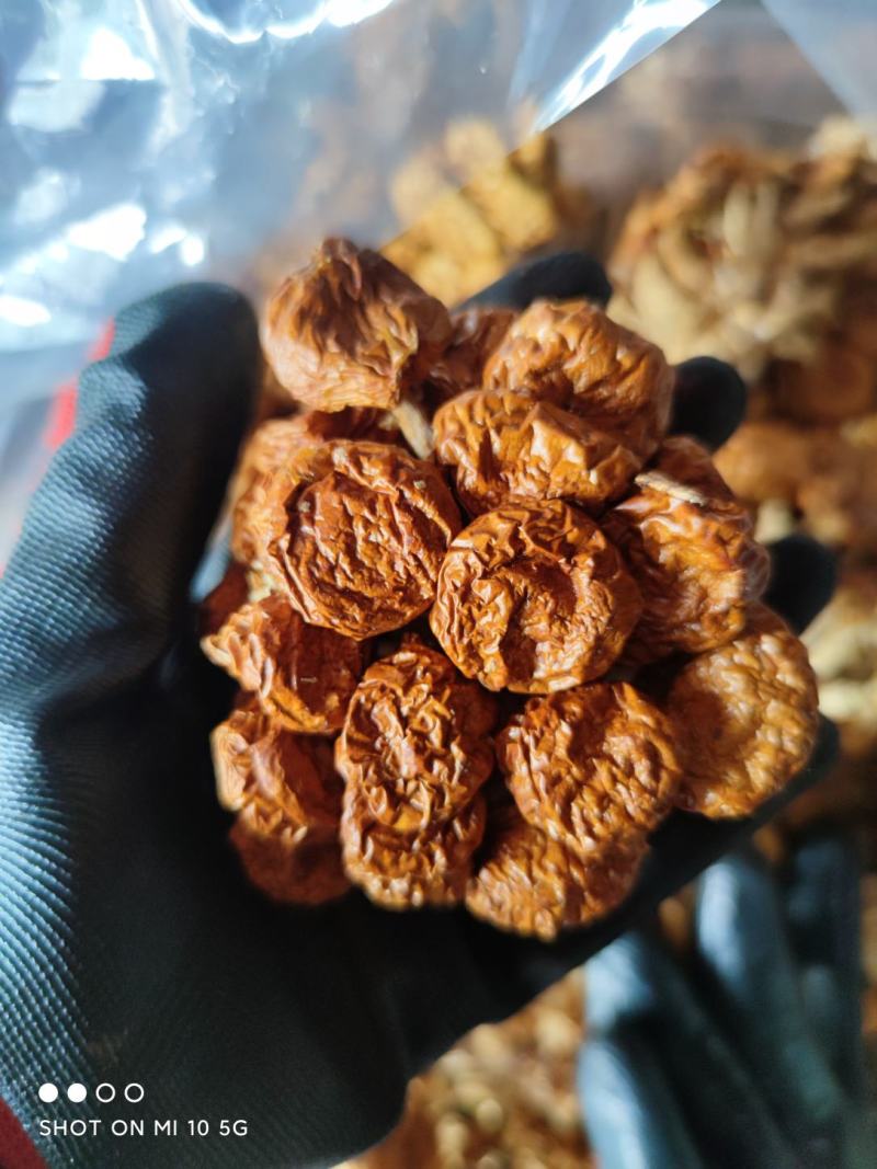 2020年头茬新货滑子菇干货特产滑子菇批发