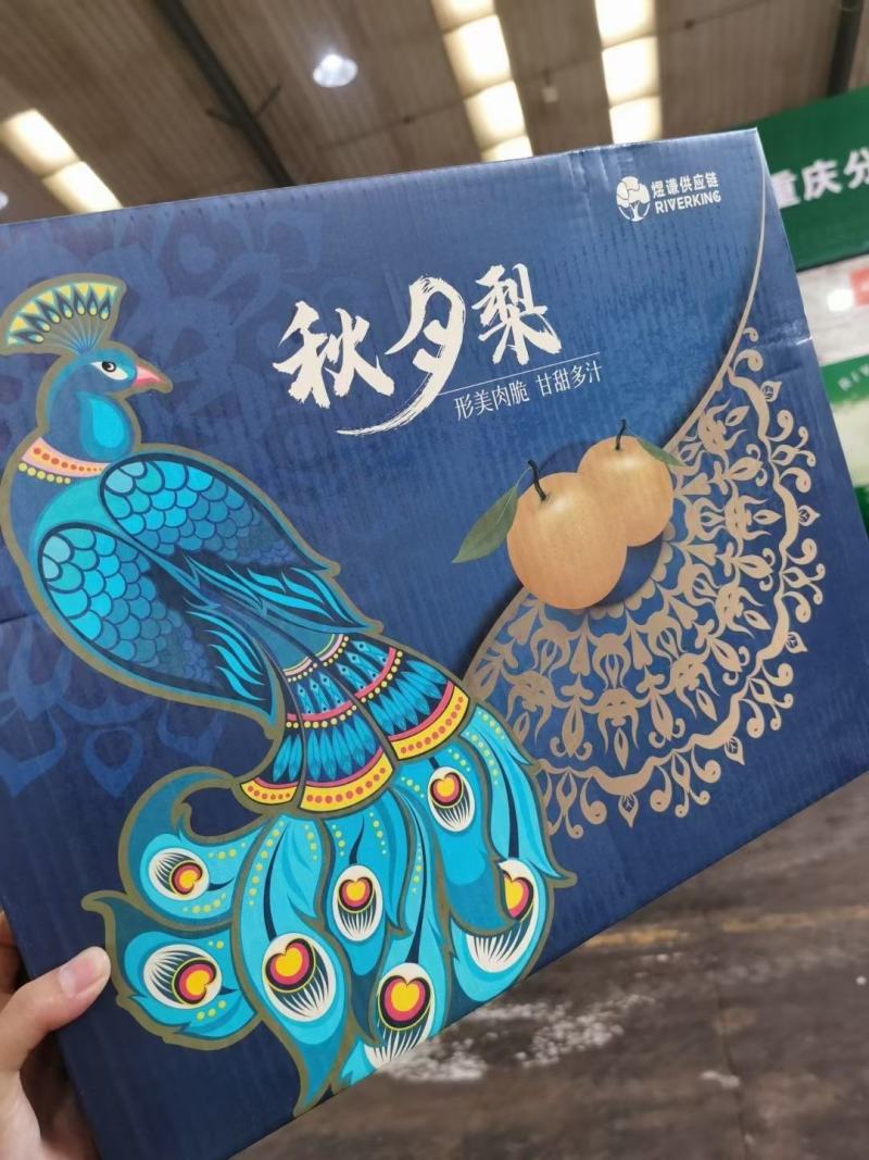 安徽山东河南秋月梨树苗，金果梨树苗，9月初成熟，