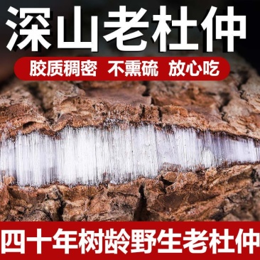 野生百年老树杜仲皮中药材批发正品杜仲厚皮泡茶煲汤泡酒包邮