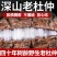 野生百年老树杜仲皮中药材批发正品杜仲厚皮泡茶煲汤泡酒包邮
