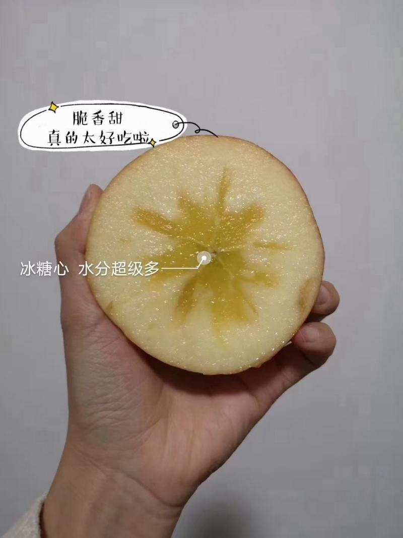 供应冰糖心红富士苹果