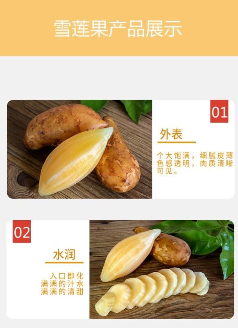 云南雪莲果价格优惠有需要的老板多多关照咱家有货
