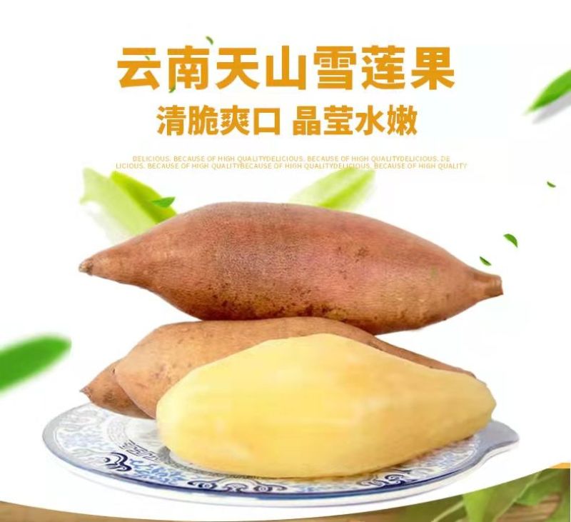 云南雪莲果价格优惠有需要的老板多多关照咱家有货