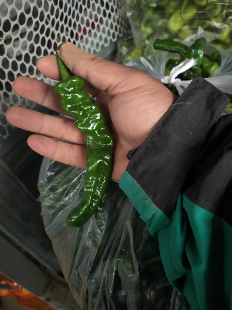 辣椒代办，小皱皮辣椒龚垒瓜果蔬菜交易行装箱，装框