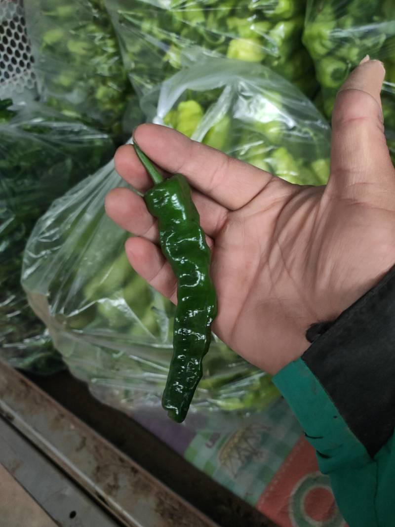 辣椒代办，小皱皮辣椒龚垒瓜果蔬菜交易行装箱，装框