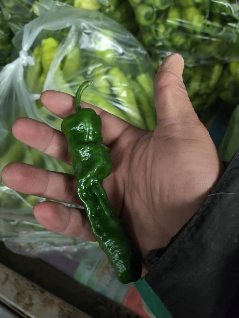 辣椒代办，小皱皮辣椒龚垒瓜果蔬菜交易行装箱，装框