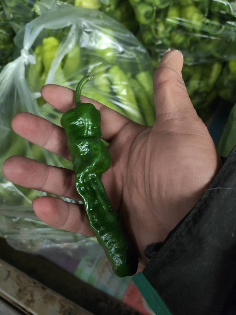 辣椒代办，小皱皮辣椒龚垒瓜果蔬菜交易行装箱，装框