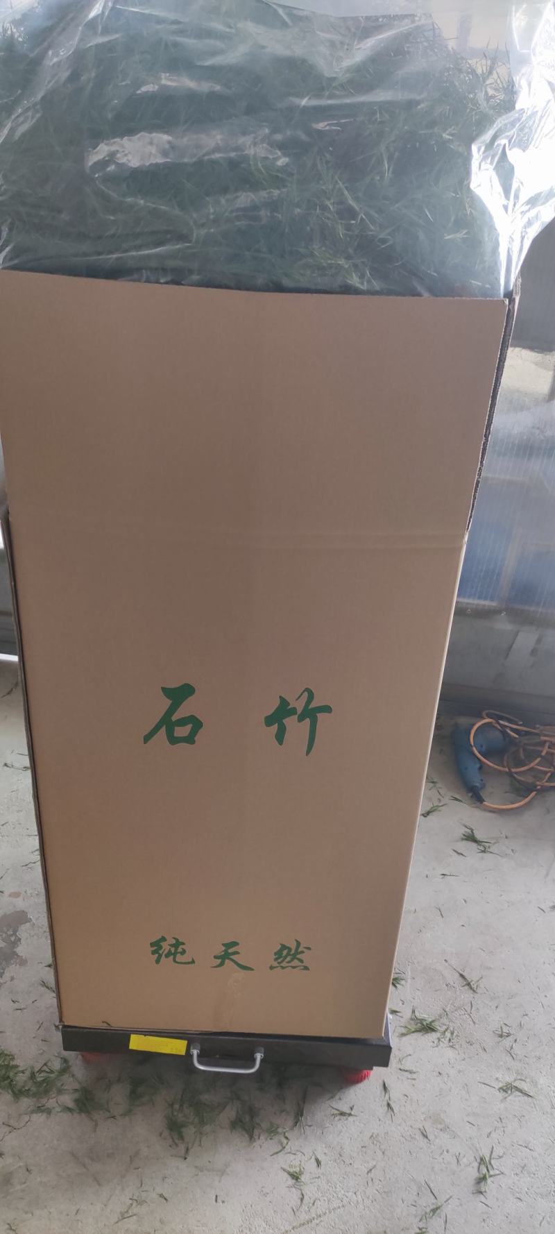 石竹茶，基地仿野生种植，口感好，中药茶，海药本草农业科技
