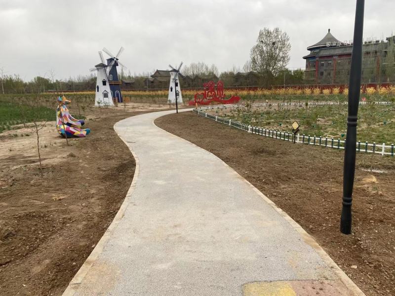 早熟禾4cm以下大量好草成活率高苗圃直发欢迎来电订购