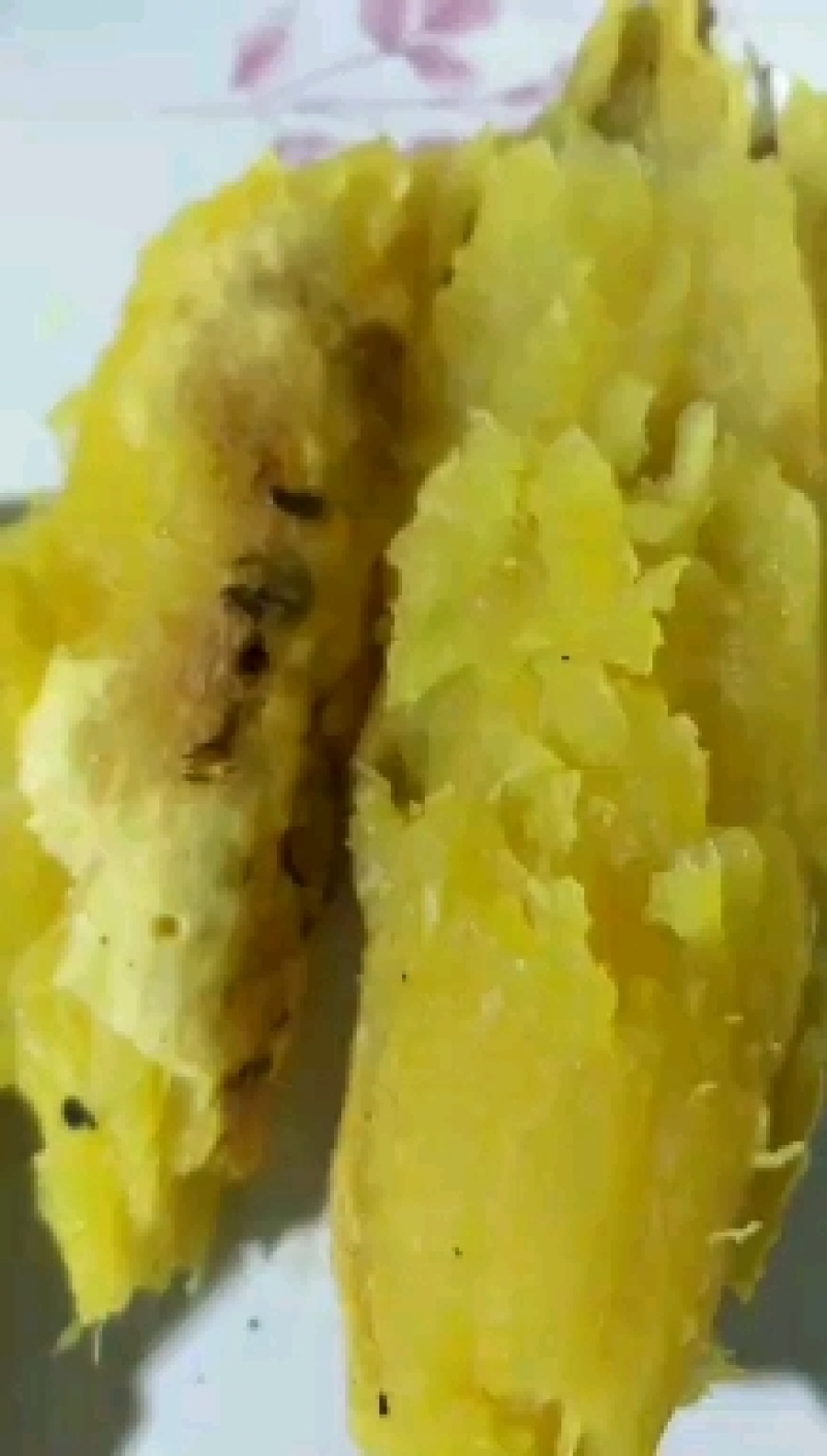 玛莎莉超级蜜薯辽宁康平原产地自产自销黄心黄瓤黄金薯红毛地