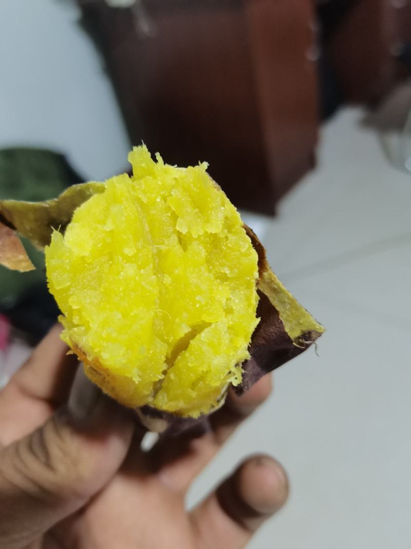 玛莎莉超级蜜薯辽宁康平原产地自产自销黄心黄瓤黄金薯红毛地