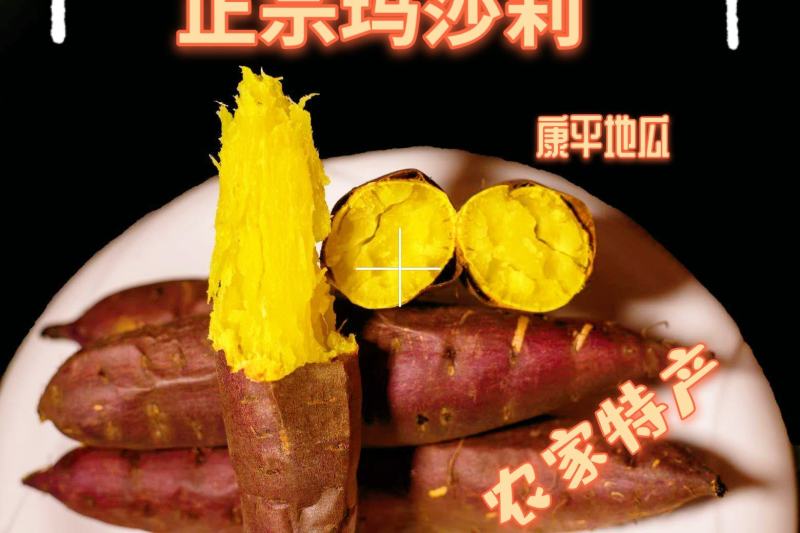 玛莎莉超级蜜薯辽宁康平原产地自产自销黄心黄瓤黄金薯红毛地
