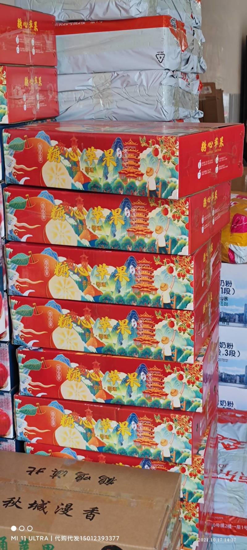 云南昭通苹果，红富士苹果现在大量上市欢迎电话咨询我