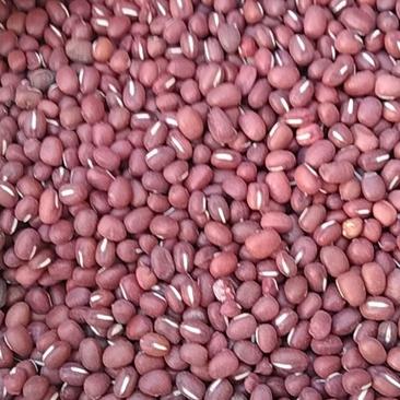 新的精选红小豆5.8元一斤