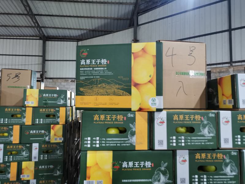 高原王子橙大品牌口感很甜很化渣整车零担供应产地直发