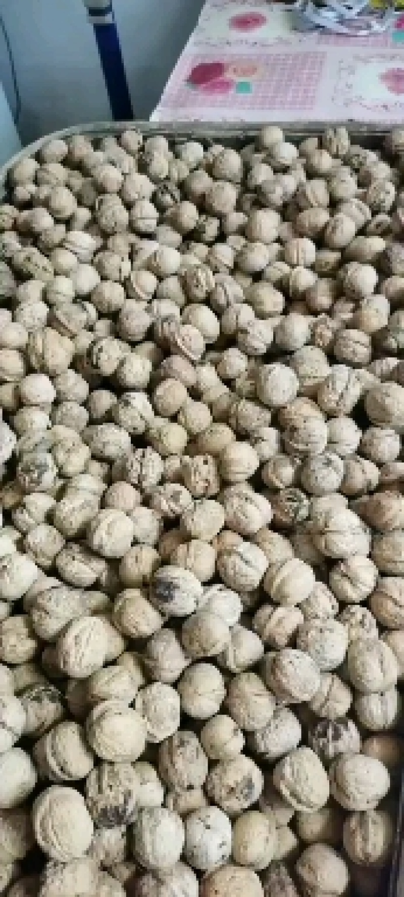 核桃