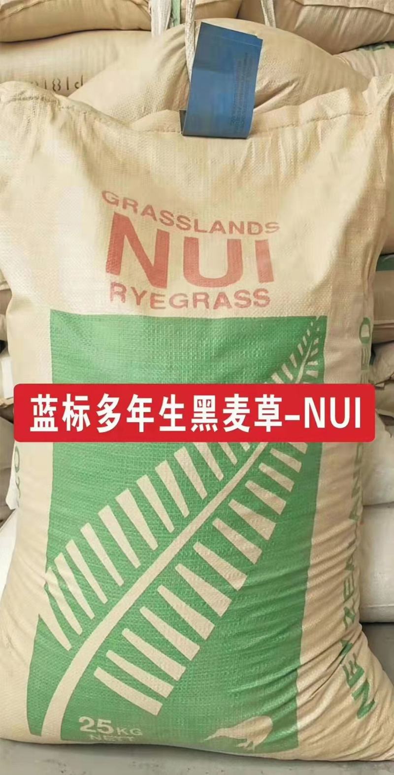草坪种子