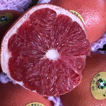 精选优质柚子香柚泰国香红柚价格便宜质量好欢迎下单