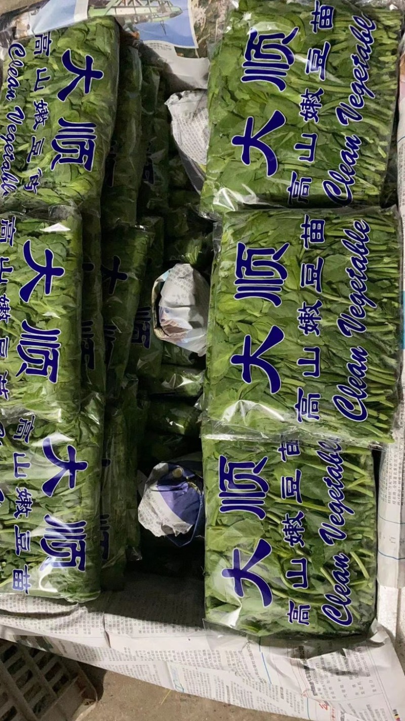 源头基地一手货源没有中间商欢迎私信咨询