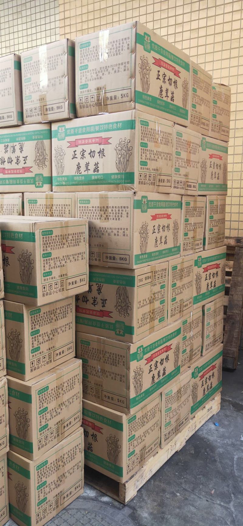 鹿茸菇，鹿茸菇，鹿茸菇，鹿茸菇，鹿茸菇，鹿茸菇，鹿茸菇！