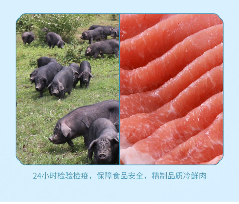 【香肠】肉枣肠小枣肠枣肠哈尔滨红肠厂家源头批发