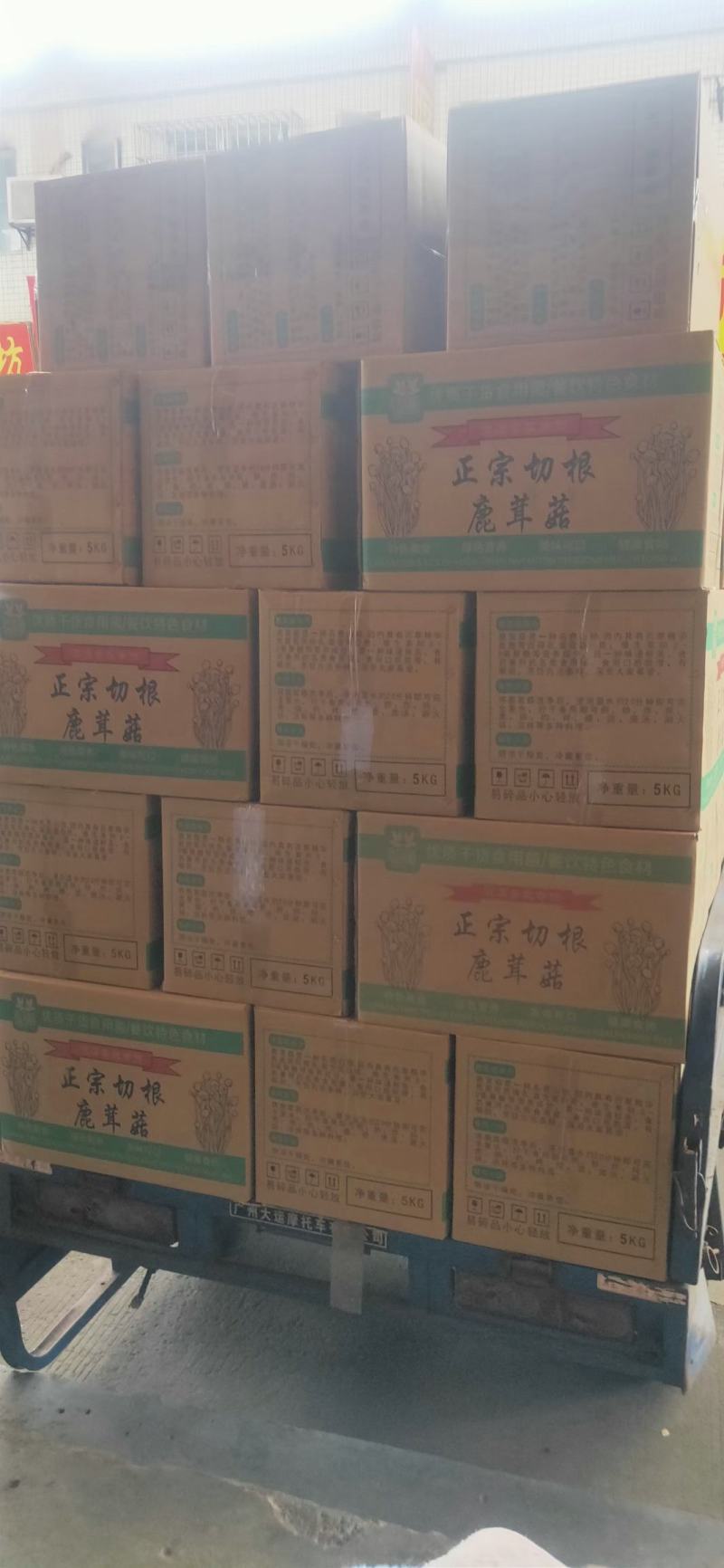 鹿茸菇，鹿茸菇，鹿茸菇，鹿茸菇，鹿茸菇，鹿茸菇，鹿茸菇！