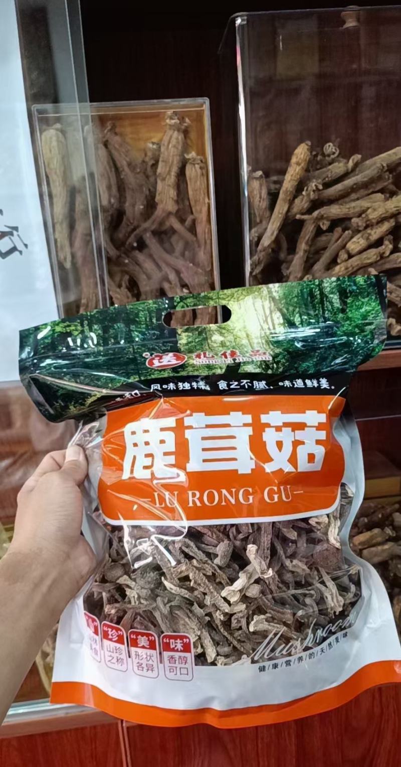 鹿茸菇，鹿茸菇，鹿茸菇，鹿茸菇，鹿茸菇，鹿茸菇，鹿茸菇！