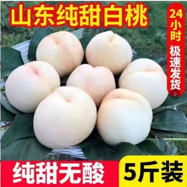 正宗山东奶油白桃5斤水蜜桃新鲜当季水果整箱现摘现发蒙阴白