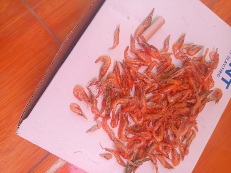 精品虾干，大量有货一手货源，基地鲜活直接加工供应。