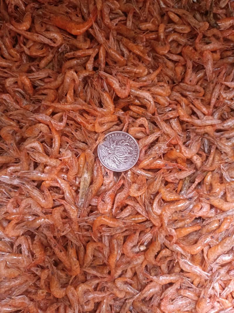 精品虾干，大量有货一手货源，基地鲜活直接加工供应。