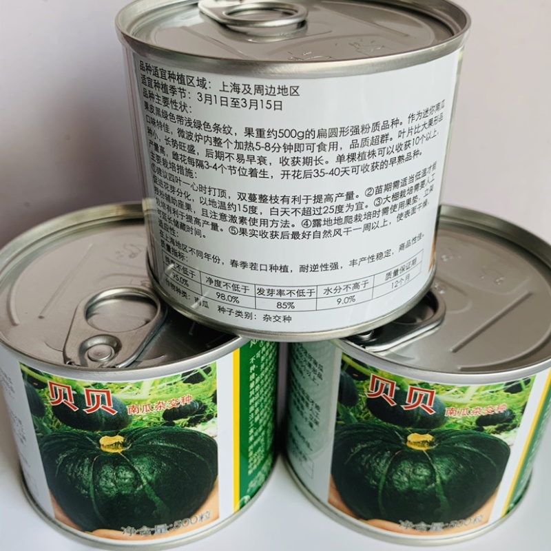 上海惠和进口贝贝南瓜种子强粉质早熟迷你南瓜种子