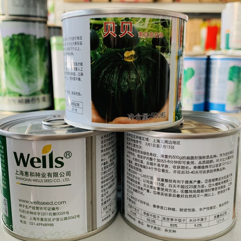上海惠和进口贝贝南瓜种子强粉质早熟迷你南瓜种子