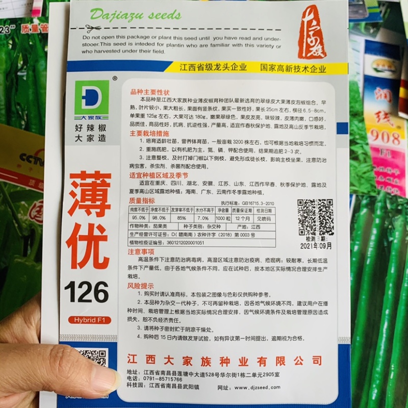 大家族薄优126辣椒种子翠绿皮大果薄皮泡椒种子高产