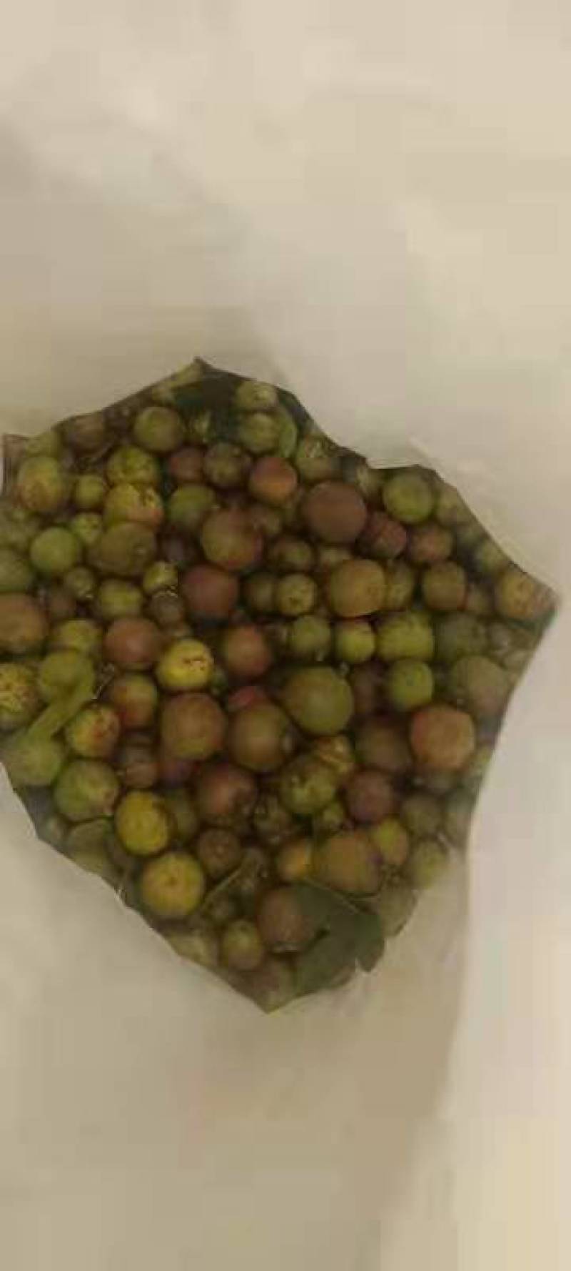 茶油果，产地直发，一手货源，量大价优，质量保证
