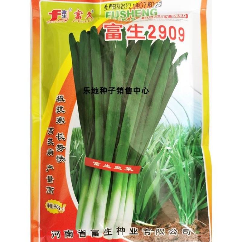 富生韭菜种子2908.2909无休眠的叶色深绿,鲜嫩,辛