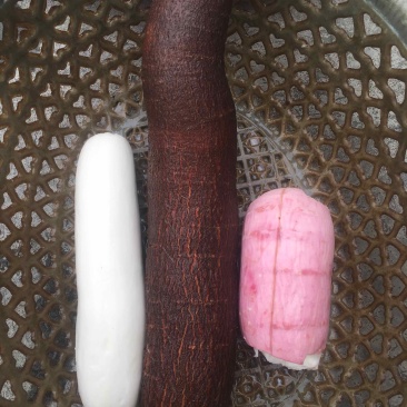 面包木薯