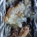 【精品】海蜇头，海蜇皮，海蜇丝批发且加工一手货源，质