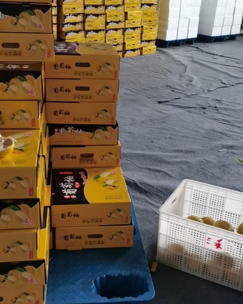【一件代发包邮】福建漳州葡萄柚爆汁礼盒装产地直发