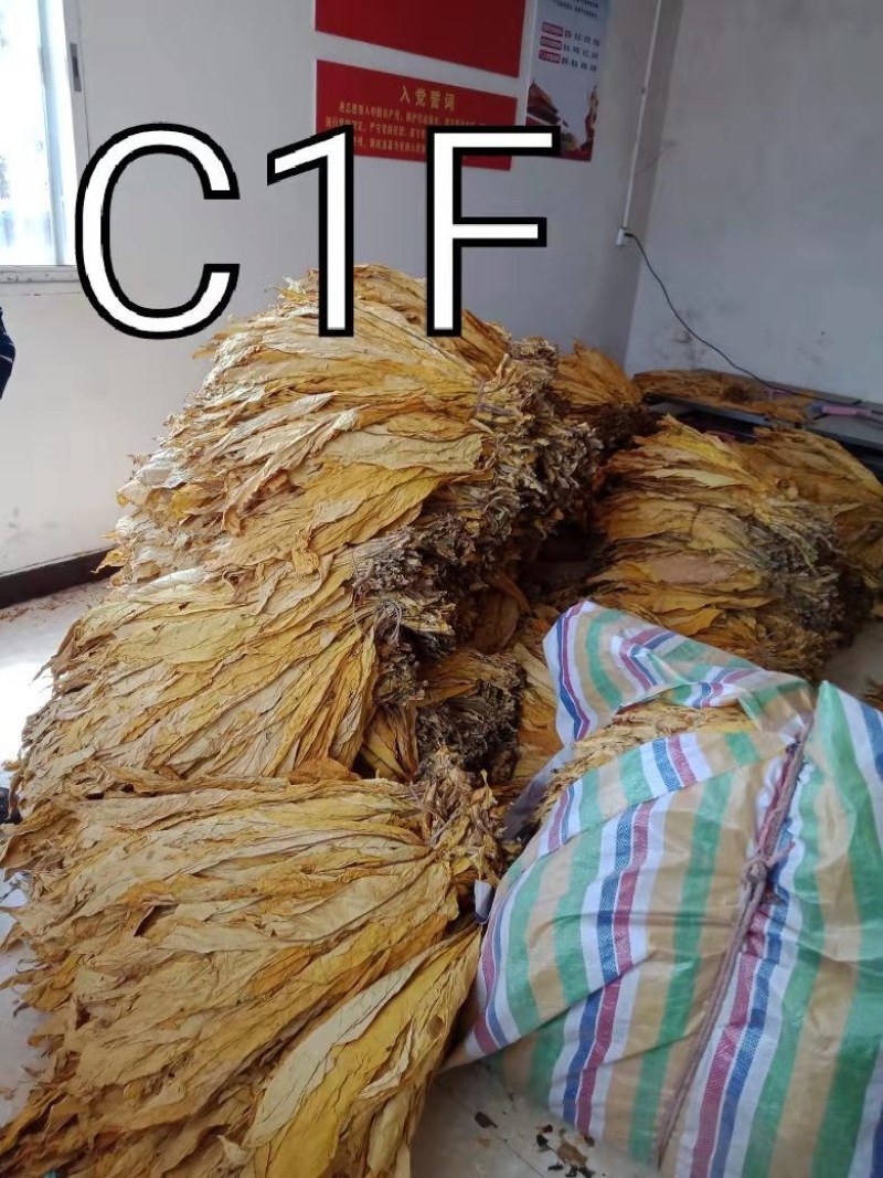 长度60一50云系列上等烟量大销售合同交不够的联系