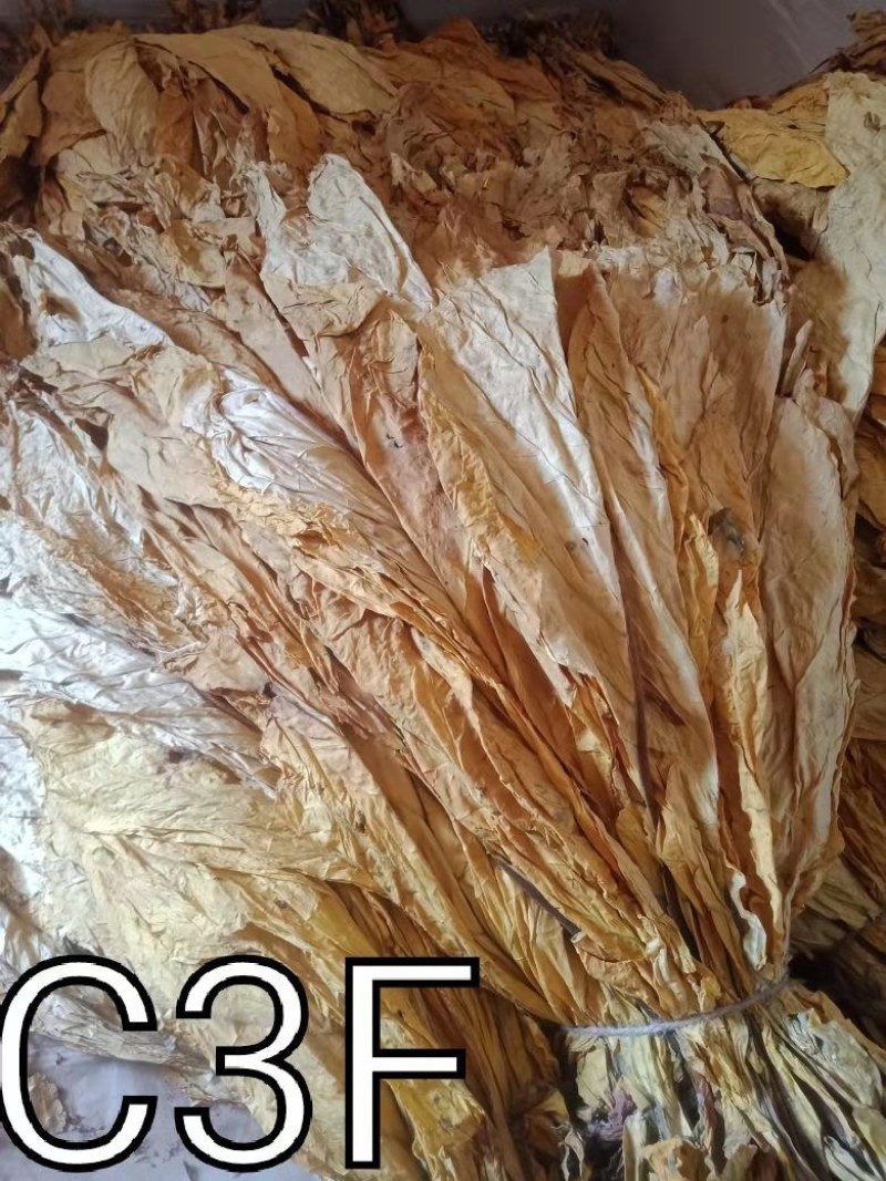 长度60一50云系列上等烟量大销售合同交不够的联系