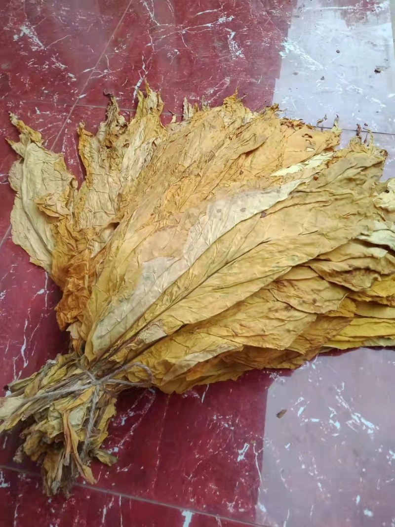 长度60一50云系列上等烟量大销售合同交不够的联系