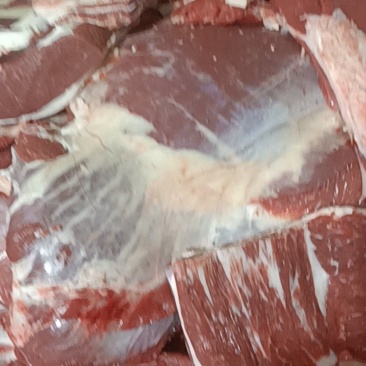 国产纯干牛肉正在加工厂