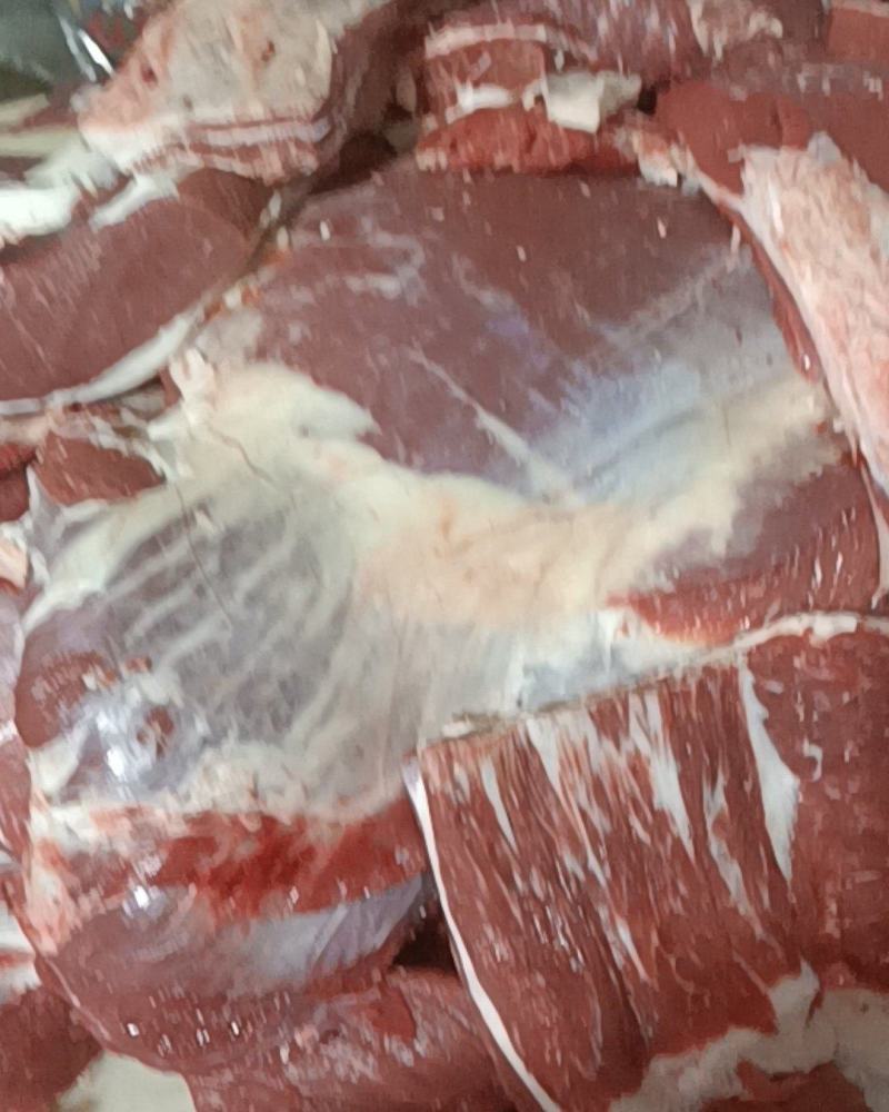国产纯干牛肉正在加工厂