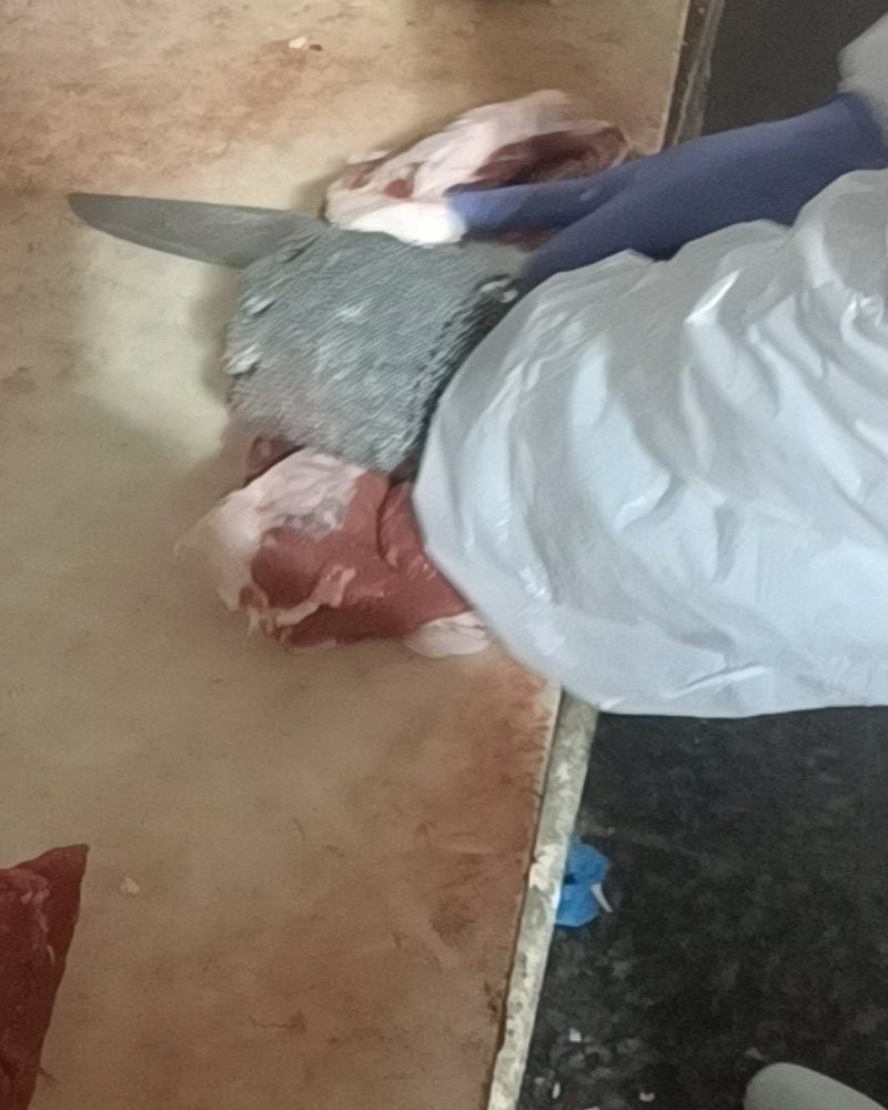 国产纯干牛肉正在加工厂